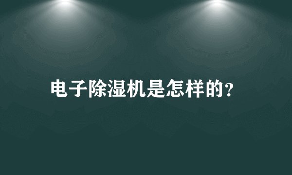 电子除湿机是怎样的？