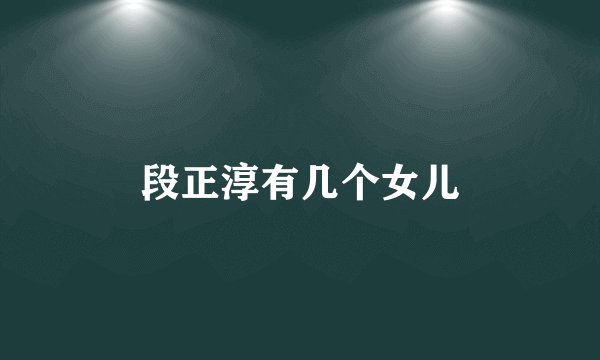 段正淳有几个女儿