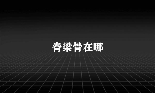 脊梁骨在哪