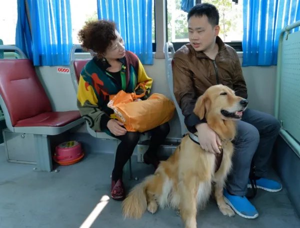 狗能坐公交车吗?