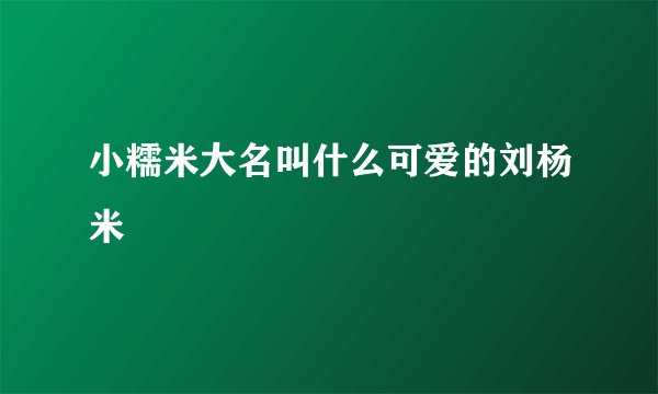小糯米大名叫什么可爱的刘杨米