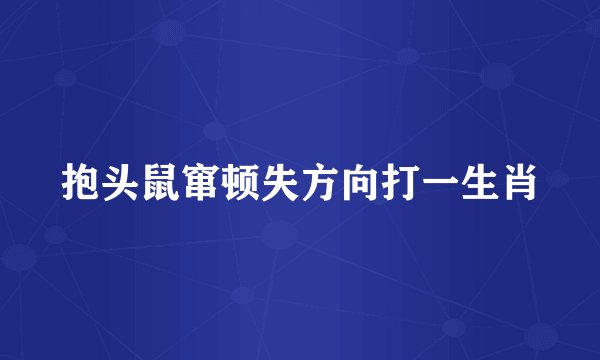 抱头鼠窜顿失方向打一生肖