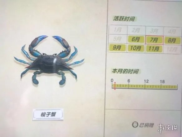 《集合啦动物森友会》海洋生物有哪些?海洋生物价格图鉴
