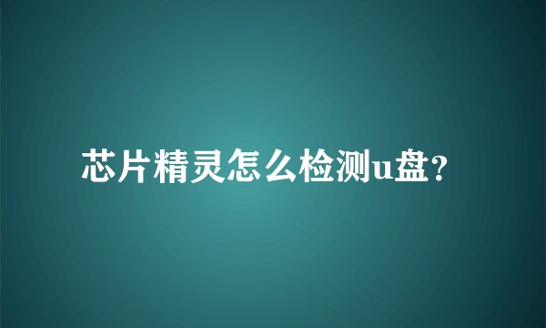 芯片精灵怎么检测u盘？