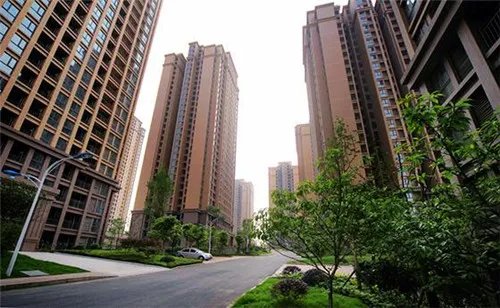 公租房摇号结果怎么查询