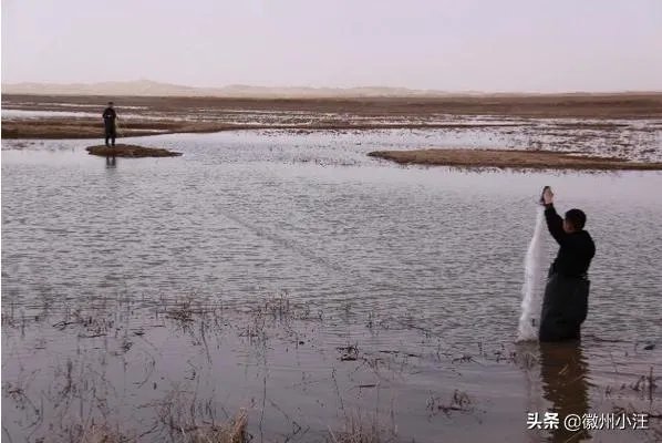 绝户网