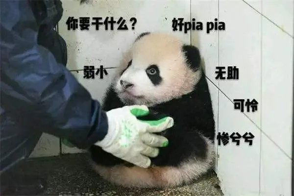 有哪些古人拿来“开车”的句子或诗词?