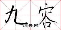 九容