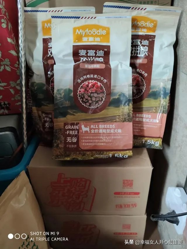 养一只柯基一年大概要多少钱?