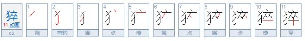 猝怎么读？