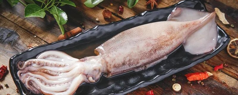 鱿鱼是鱼吗