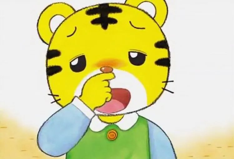 巧虎宝宝版2009的介绍